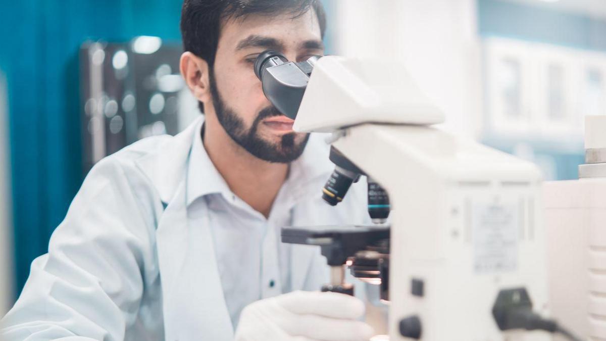 Medical Laboratory worker during their work, looking into a microscope.