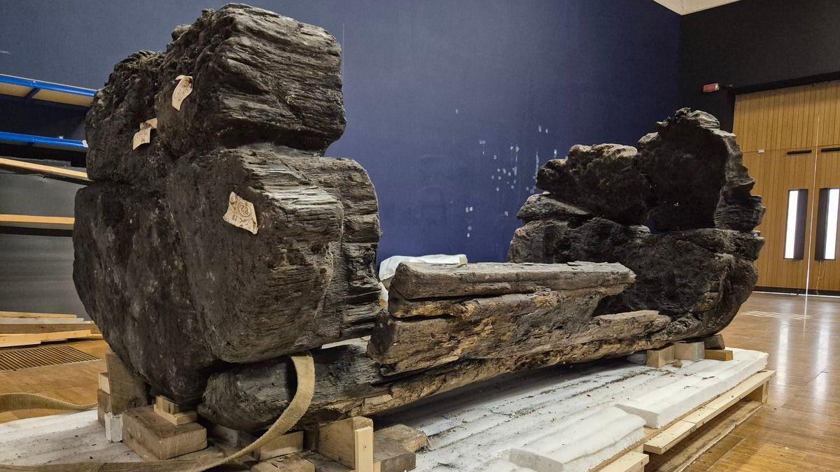 A large hollowed-out oak is wedged on blocks of wood on pallets in a hall. It is large and the wood looks aged but intact.