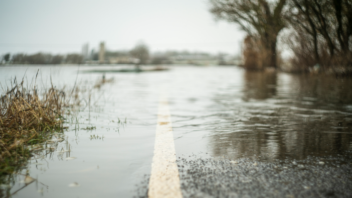 A view near the ground of a road covered in water, with a yellow line running down the road. Trees line the right side of the road and buildings are in the distance. (Stock photo)