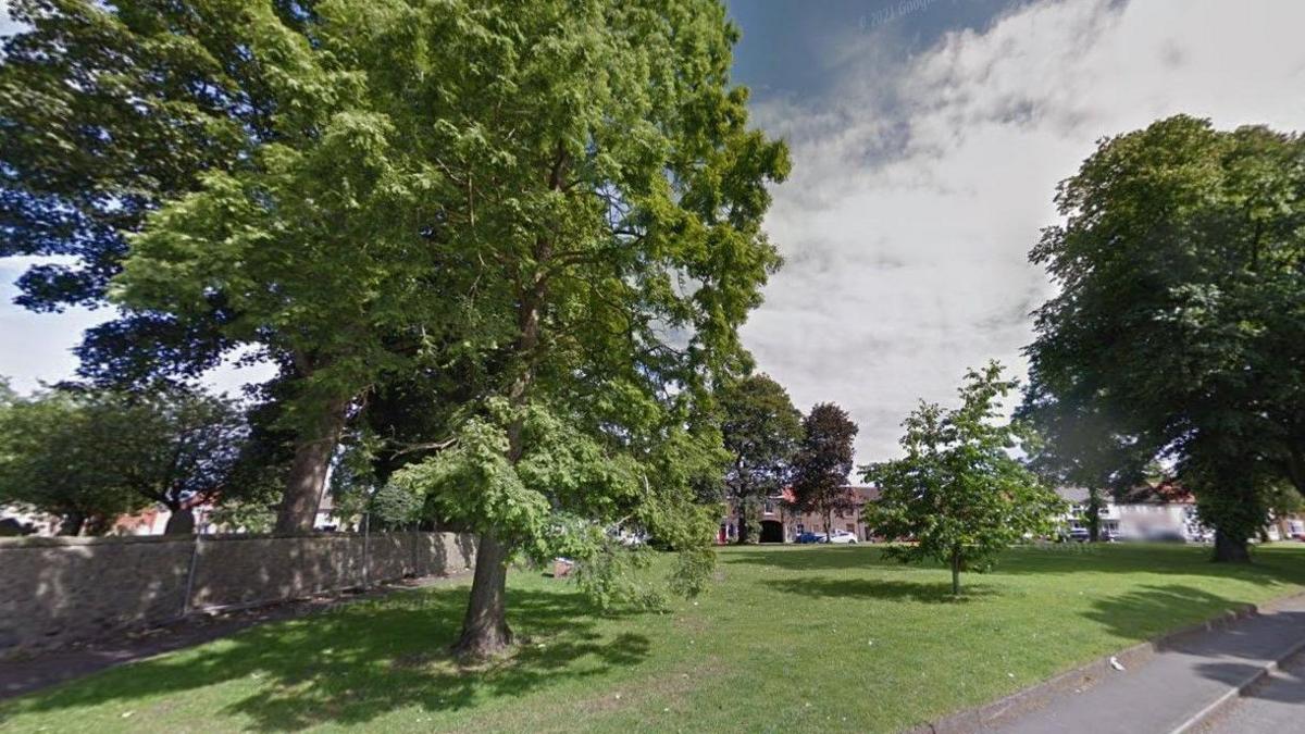 A grassed area with a number of trees lining a roadside through a village. 