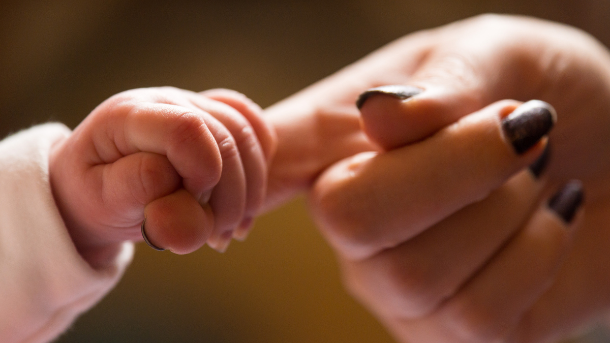 A baby's hand holding an adult's finger