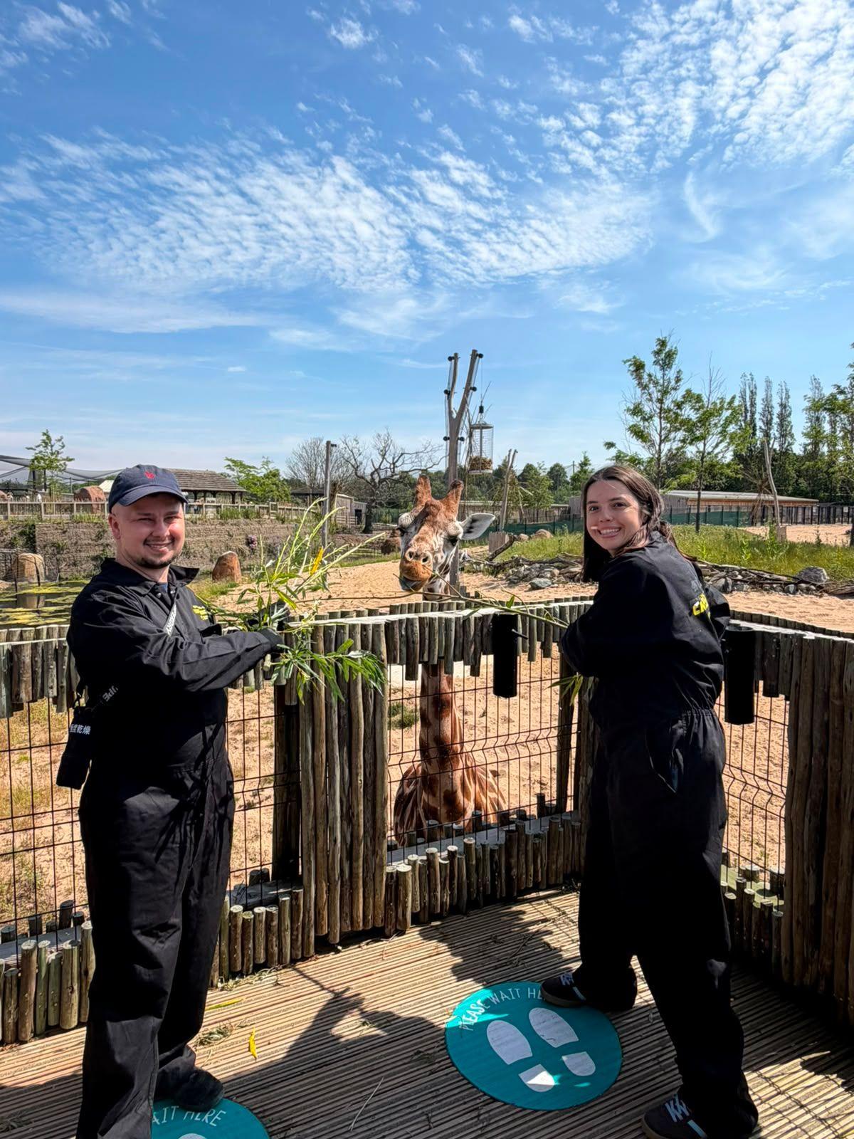 A man in a cap and a brunett woman, both wearing black all-in-one boiler suits. They are smiling and lookin at the camera while holding bundles of green leaves. Behind them is an outdoor enclosure, with a giraffe leabing over the fencing.