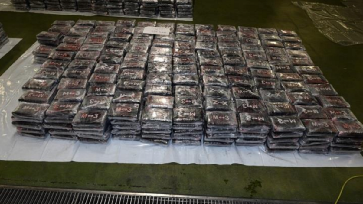 A huge pile of black wraps of cocaine laid out on the floor.