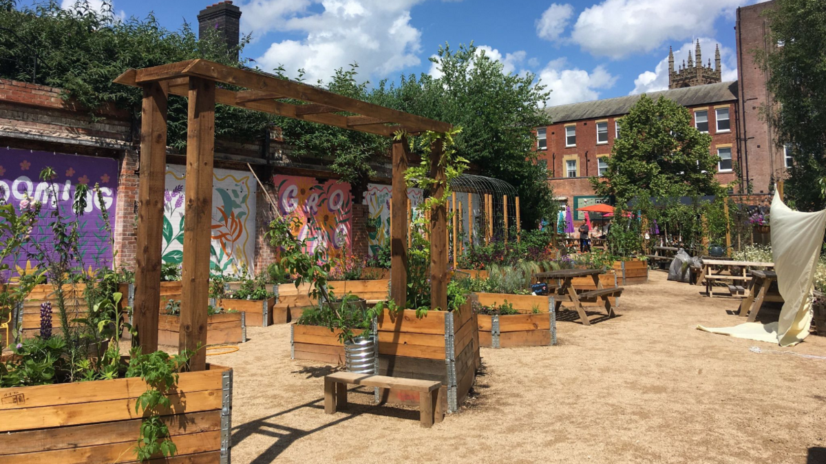 An image of the "Electric Daisy" public garden in Derby