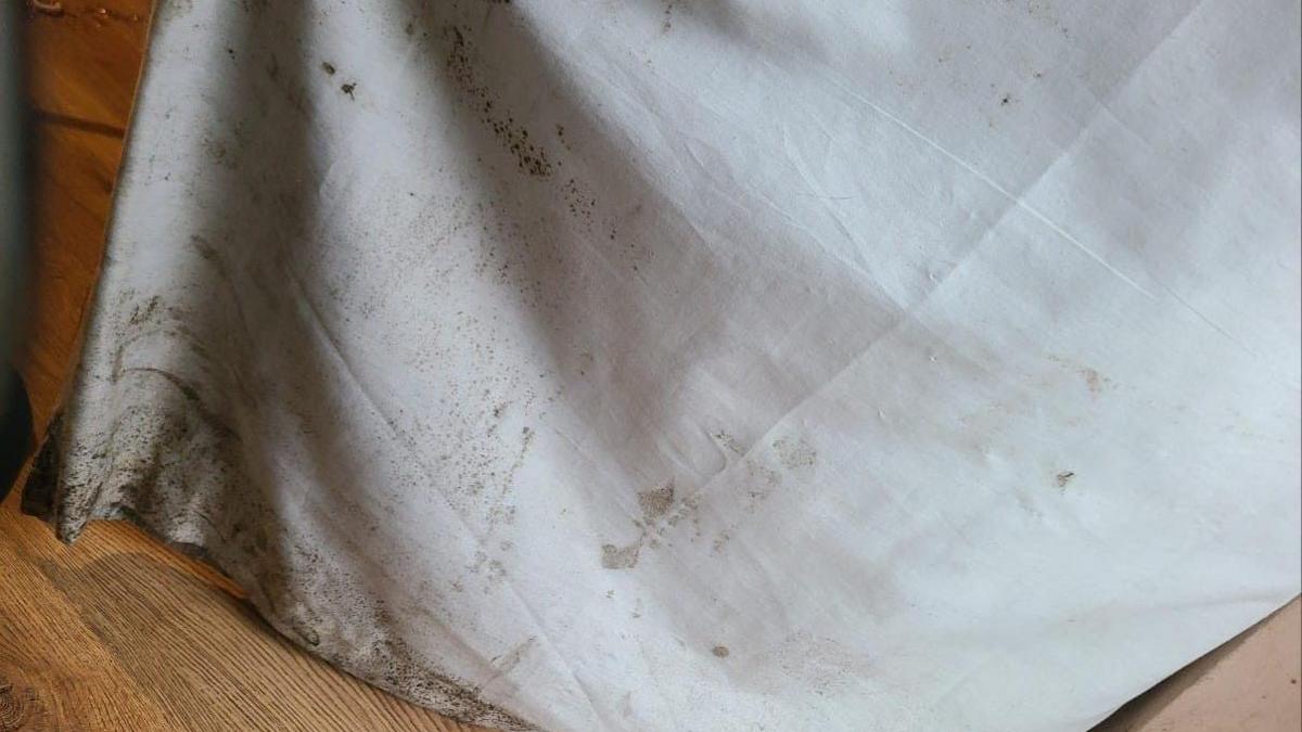 Mould on white sheets