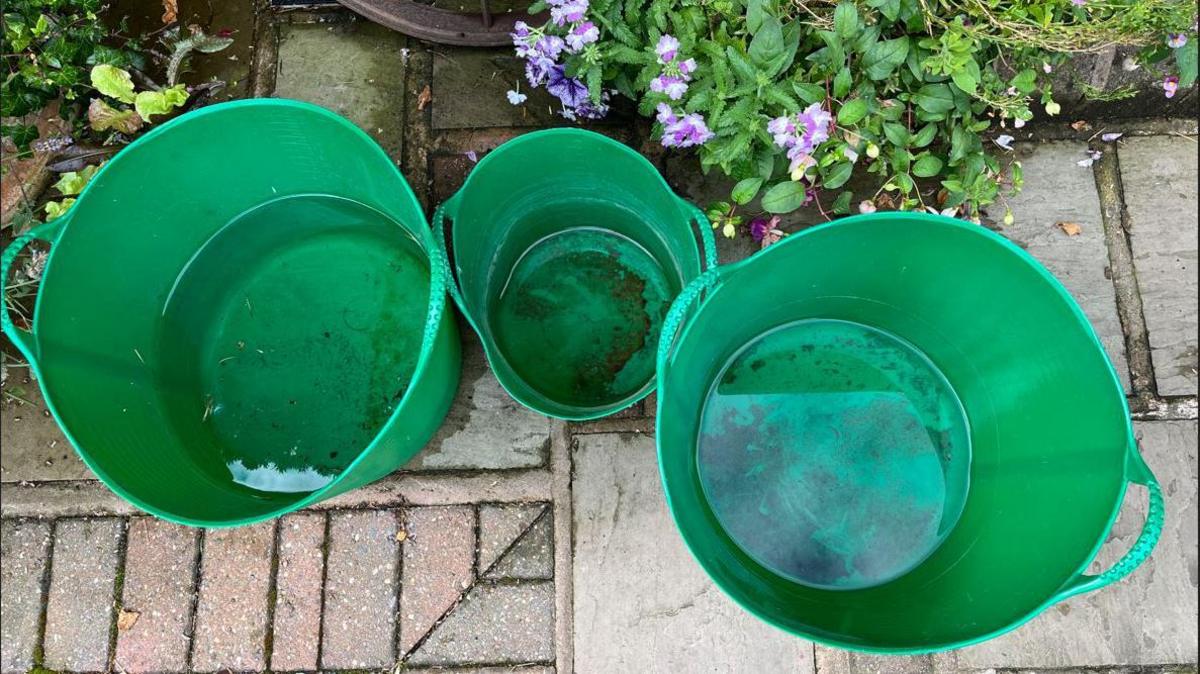 Green buckets of water