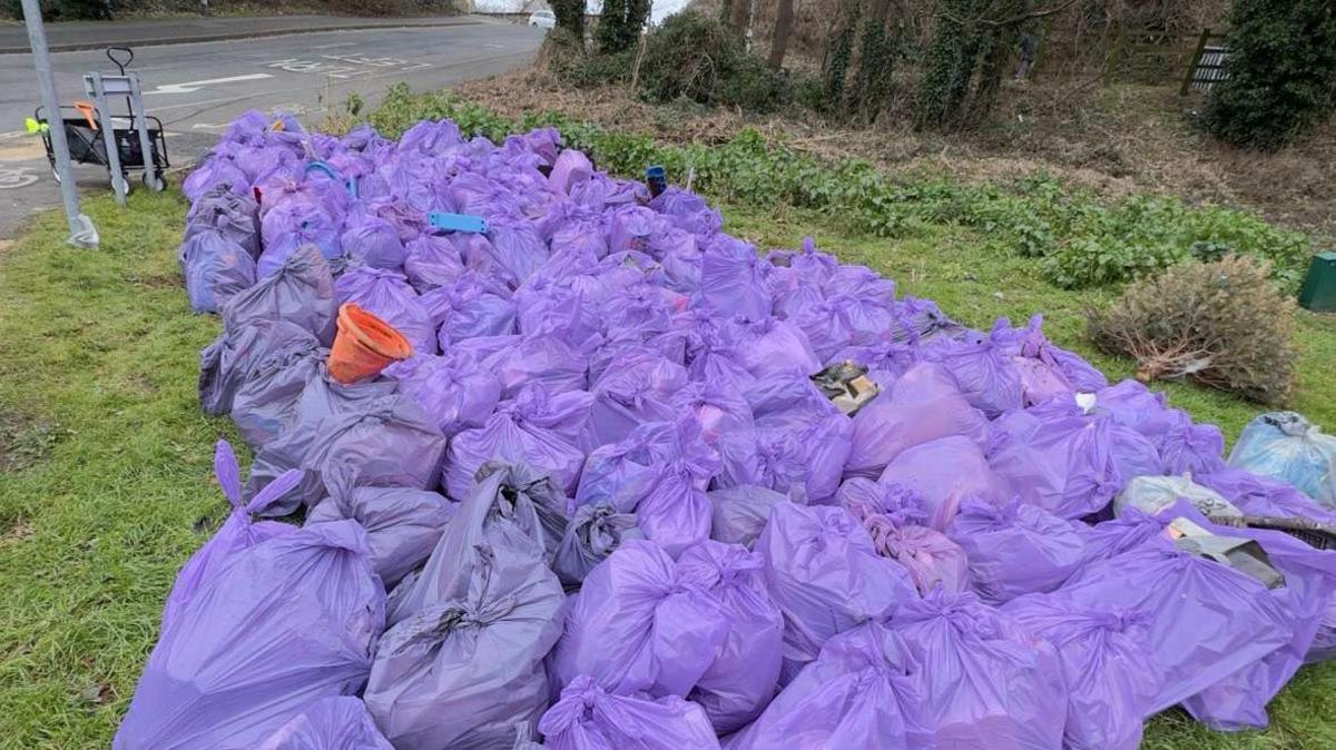 More than 200 bags were filled with rubbish during the litter picking event. Purple bin bags have been collected on an area of grass in the Plymstock area. 