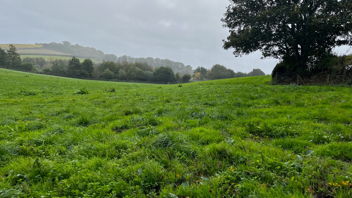 A field which has been used for landfill and restored to productive farmland, according to developer BT Jenkins