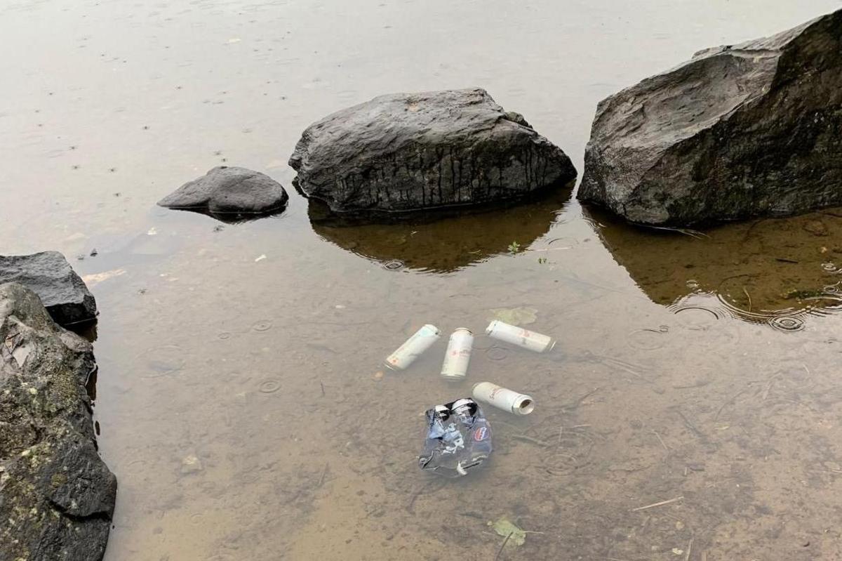 Four beer cans and plastic bottles floating in a loch beside rocks