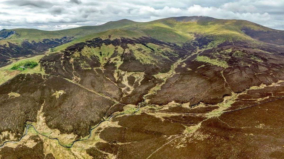 Skiddaw Forest with the mountain Skiddaw in the background. There are huge patches of brown which indicate bracken or other vegetation. The summit is green. 