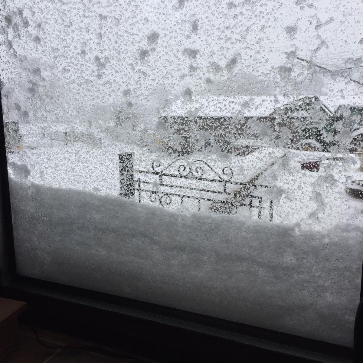 Snow climbing up the window in Llannefydd, Conwy county