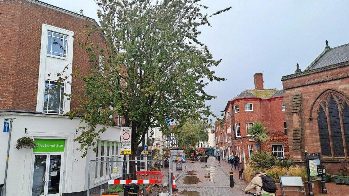 A tall cherry tree with silver metal high railings and a red and white barrier surrounding it. It is on a cobbled city street, with church and red-brick buildings beyond it. Pedestrians and a cyclist can be seen and puddles on the road.