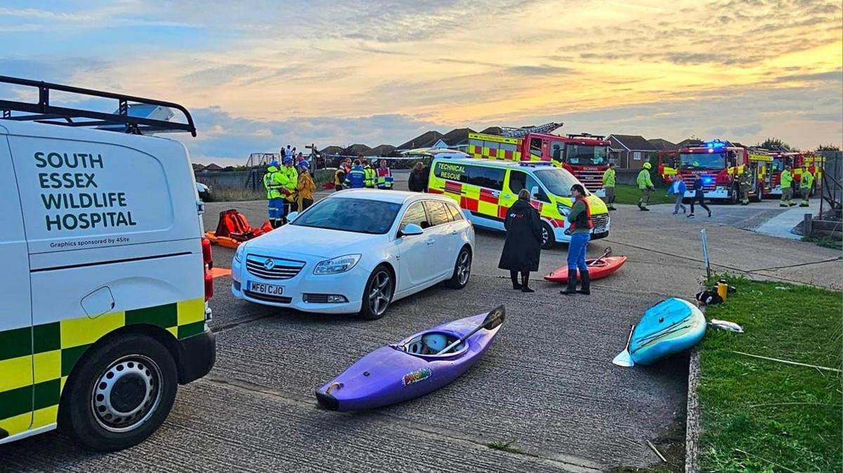 Picture shows emergency services including a South Essex Wildlife Hospital white van, two fire engines and multiple people. A red and purple kayak and blue paddleboard can also be seen.