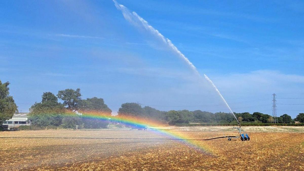 A piece of equipment jets water into the air in a field with green trees in the distance. Before it, due to the spray, a rainbow can be seen.
