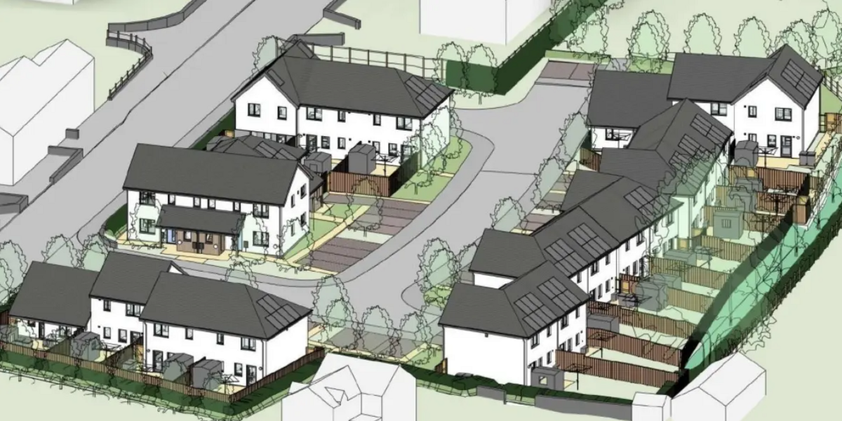 Sut fyddai'r cais yn edrych