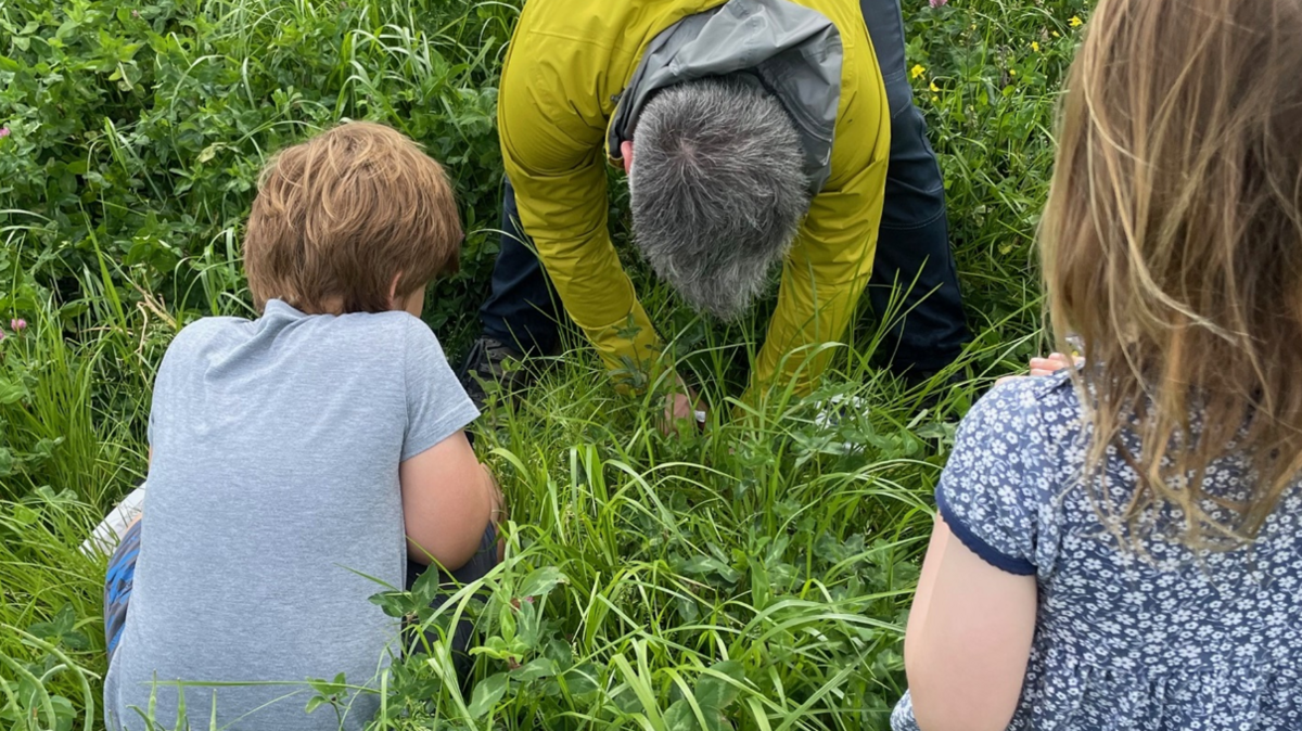 Two children with an adult observing the soil in a field