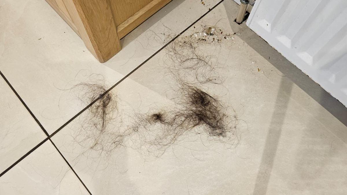 Hair covering a white tiled floor. There is a white radiator to the right, and a wooden cabinet to the left.