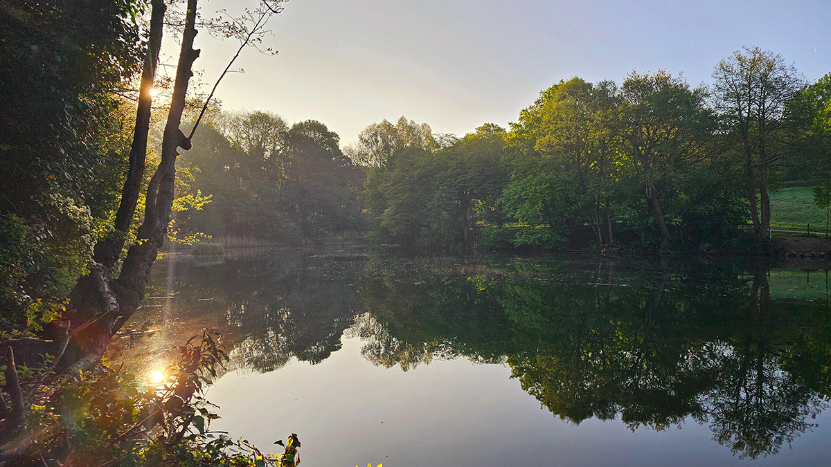Sunrise over a lake in Halesowen. The sun reflects on the water to the left, with trees lining the bank and a light early morning mist in the air