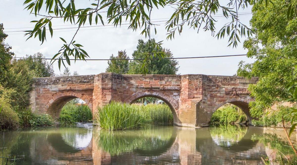 The Hunningham Bridge has three stone arches, spanning a river, with tall water reeds and the river itself in front of it. Small branches from a tree frame the top of the shot.