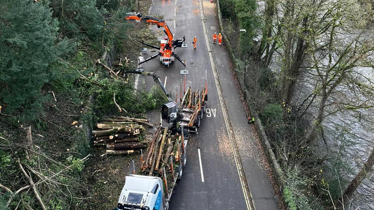 Heavy machinery being used to clear large trees hanging over a road 