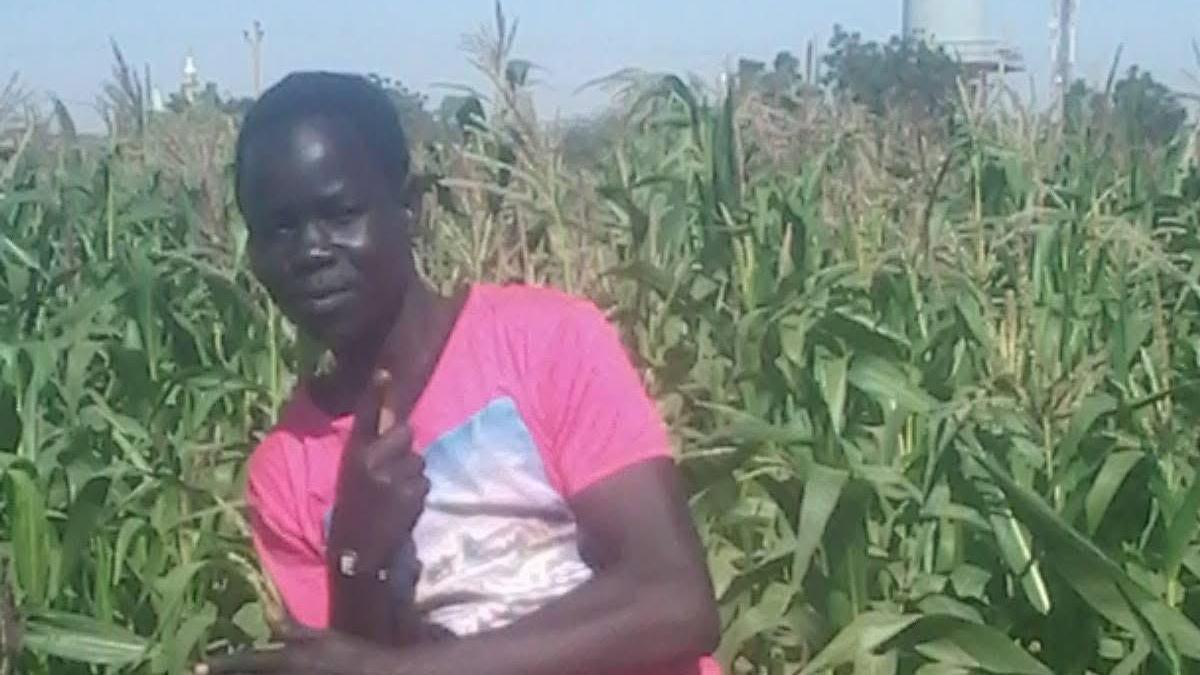 A boy in a pink T-shirt points to the sky and stands in a field with tall grasses. There is blue sky overhead.