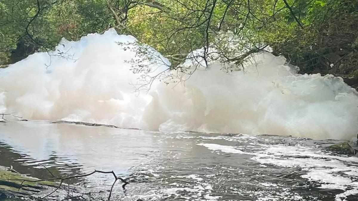 Large white clumps of foam in a river.