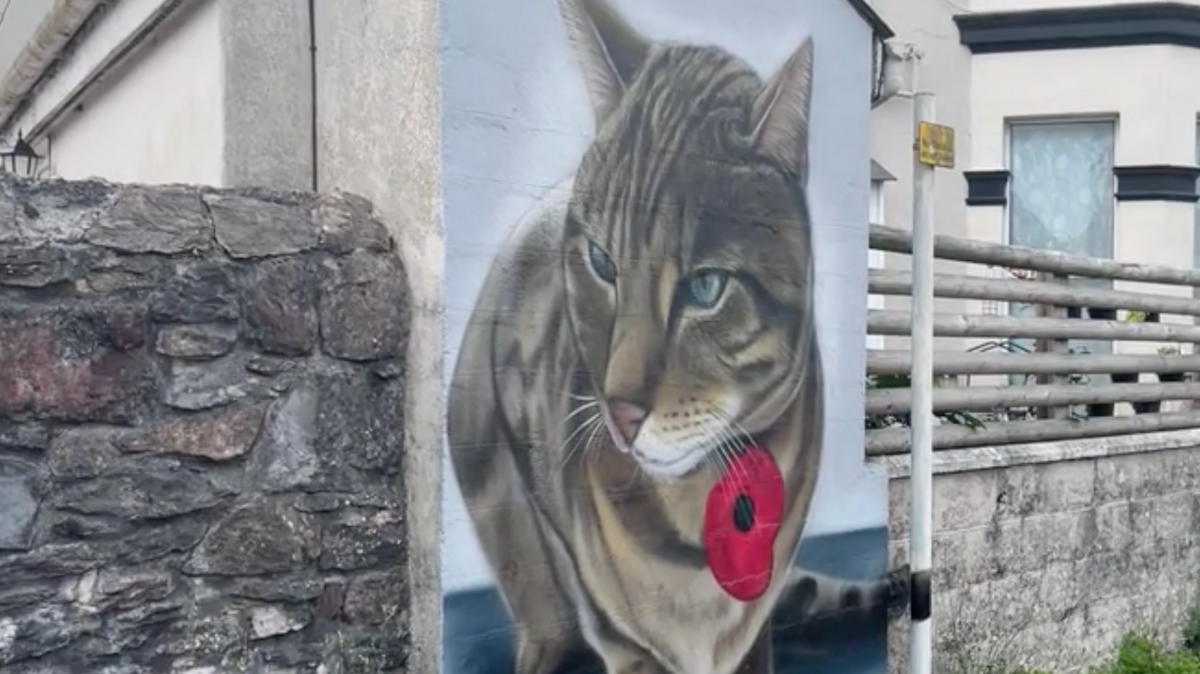 A painting of a tabby cat, with a red poppy and a blue background, on a wall of a house.