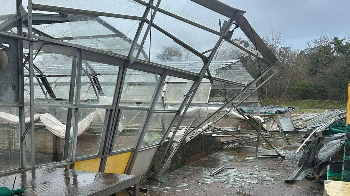 The glass of a greenhouse is all over the ground and the end of a second greenhouse has been ripped off.