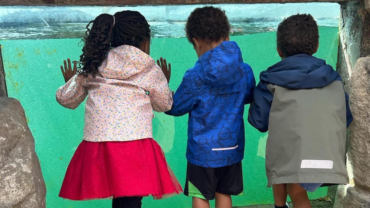 Three children turned away from the camera look into a pool at the aquarium. They are each wearing coats and have their hands pressed up against the glass, which has blue-green water on the other side.