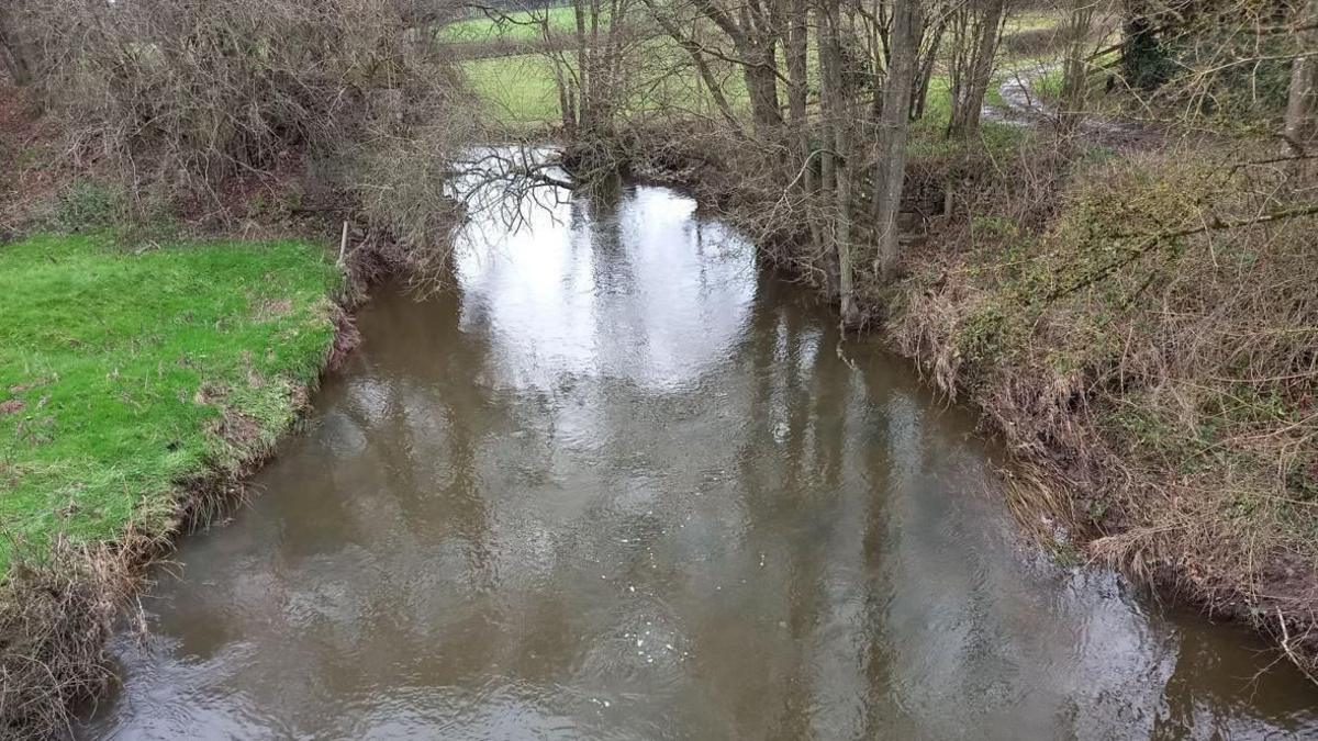 A small river pictured on a cloudy day. Its banks are lined with grass, trees and shrubs and fields can be seen beyond.