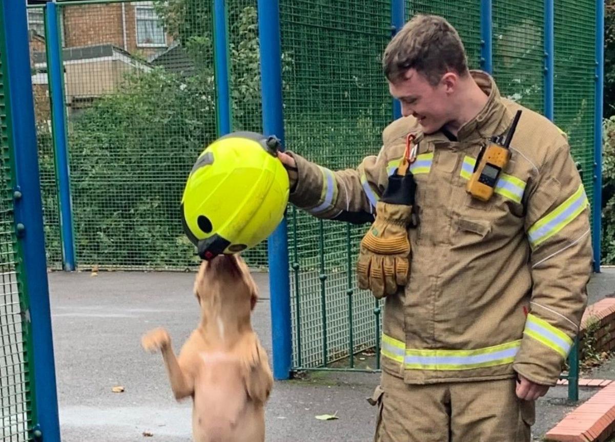 Pearl reaching the helmet of a trainee firefighter, who is on the right