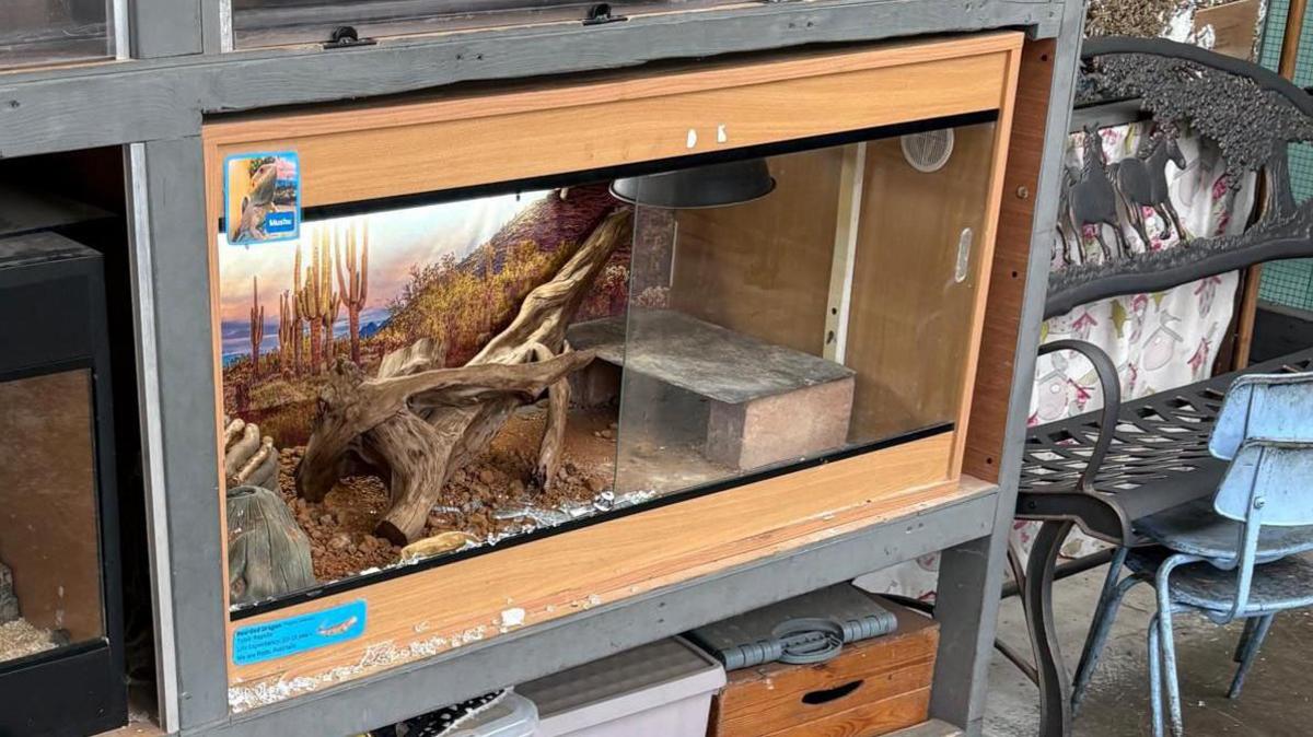 A smashed glass tank. It has some branches and a little platform inside.