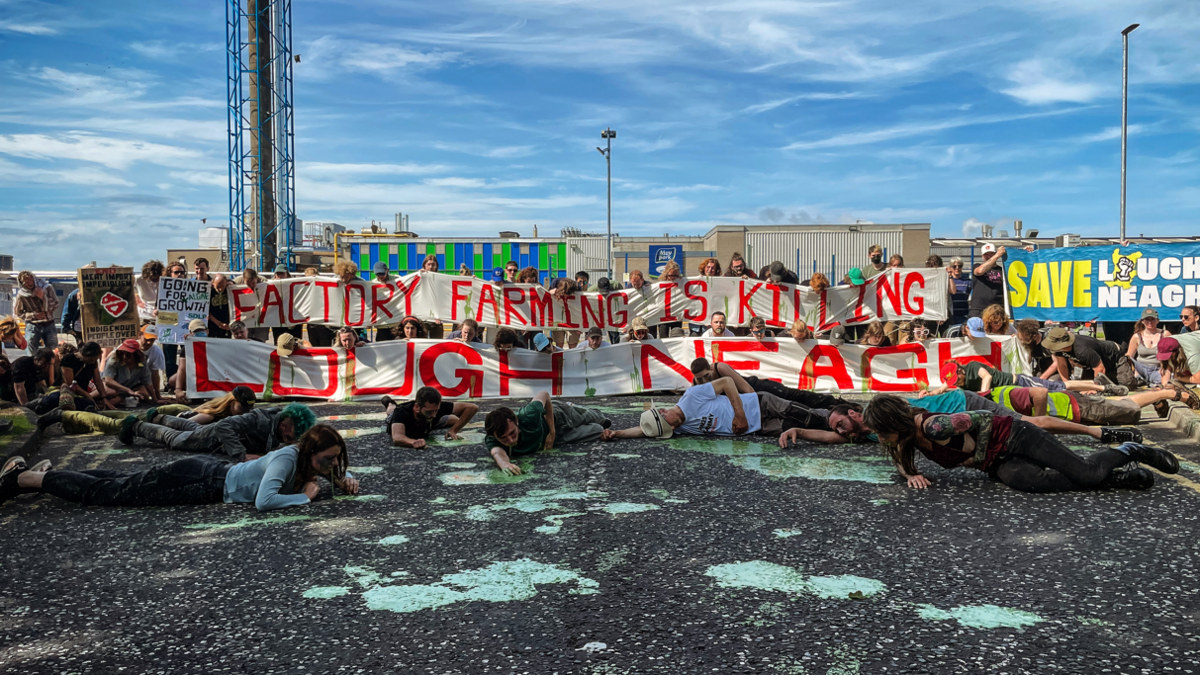 People lie on the ground next to puddles of the sludge while in the background people are holding up a large banner that reads "Factory farming is killing Lough Neagh".