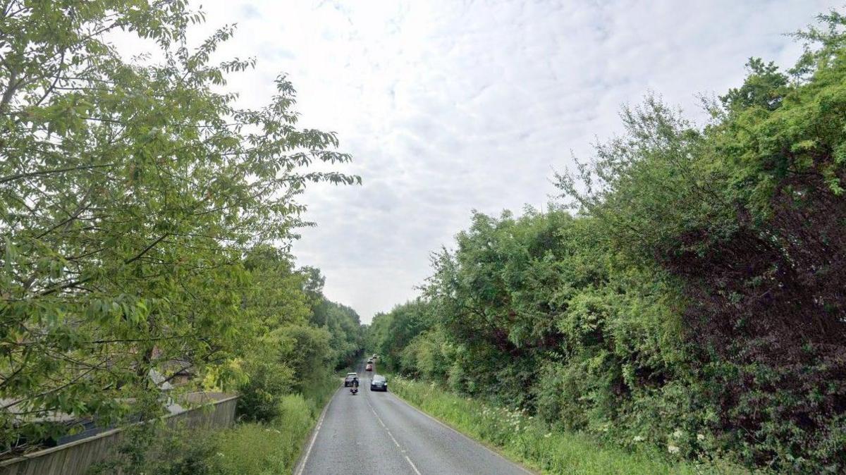 Road with cars in the distance. There are trees and shrubbery on either side. The sky is cloudy. 