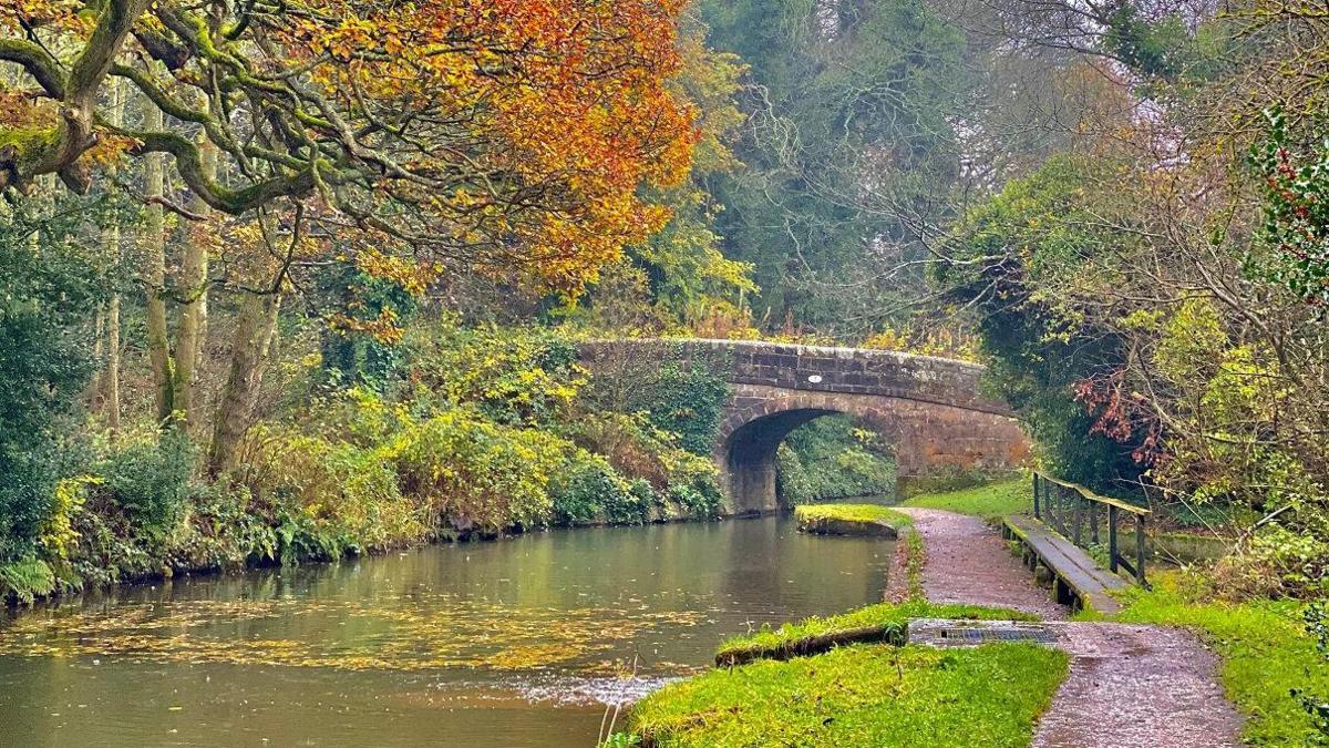 A canal leads under a bridge with a towpath to the right of the canal with a wooden bench next to it. Yellow leaves lie on the water's surface before the canal bridge. To the left of the canal, several trees hold branches over the water while light and dark green bushes line the bank. To the right, after the towpath, more trees can be seen.