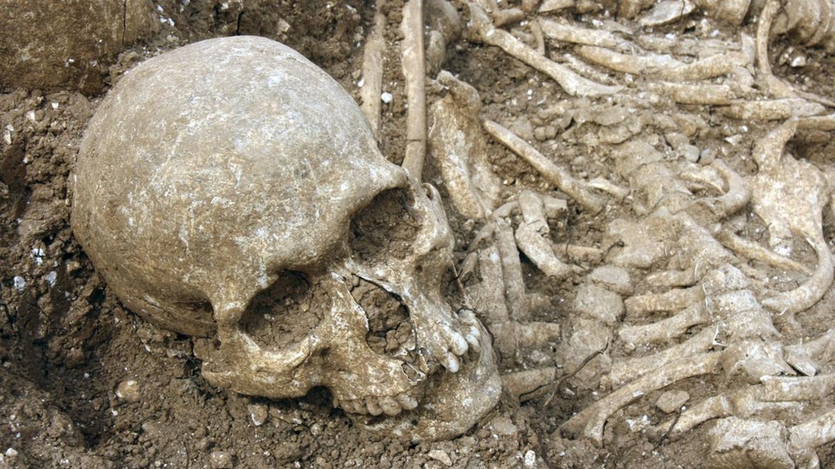 Skull found in Viking mass grave, Weymouth