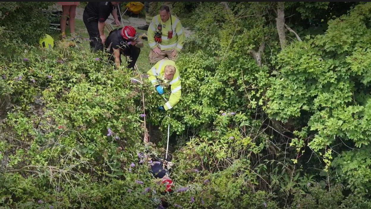 A fire and rescue team lower a rope to a casualty in a heavily overgrown area of West Sussex.
