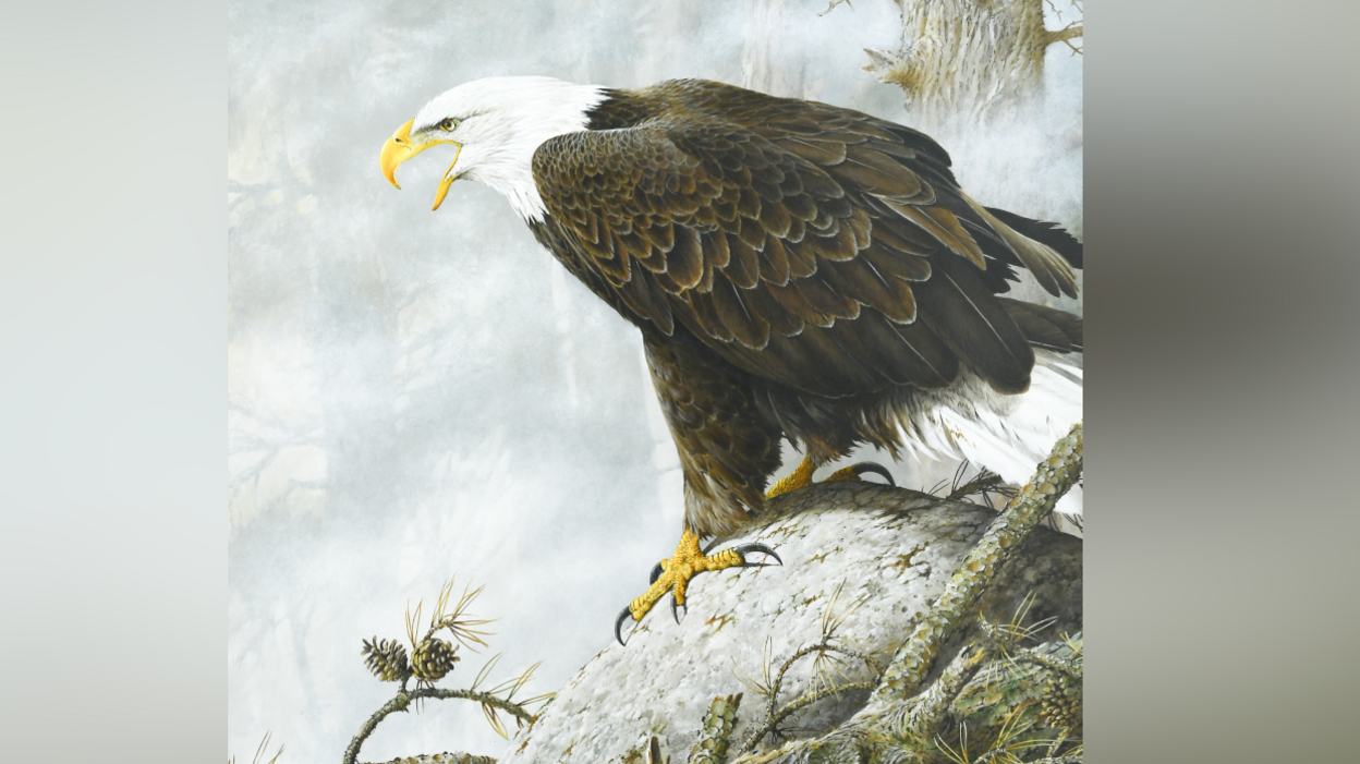 A painting of a bald eagle. It has a yellow beak, white head and its body is made up of mainly brown feathers with some white feathers toward its tail.