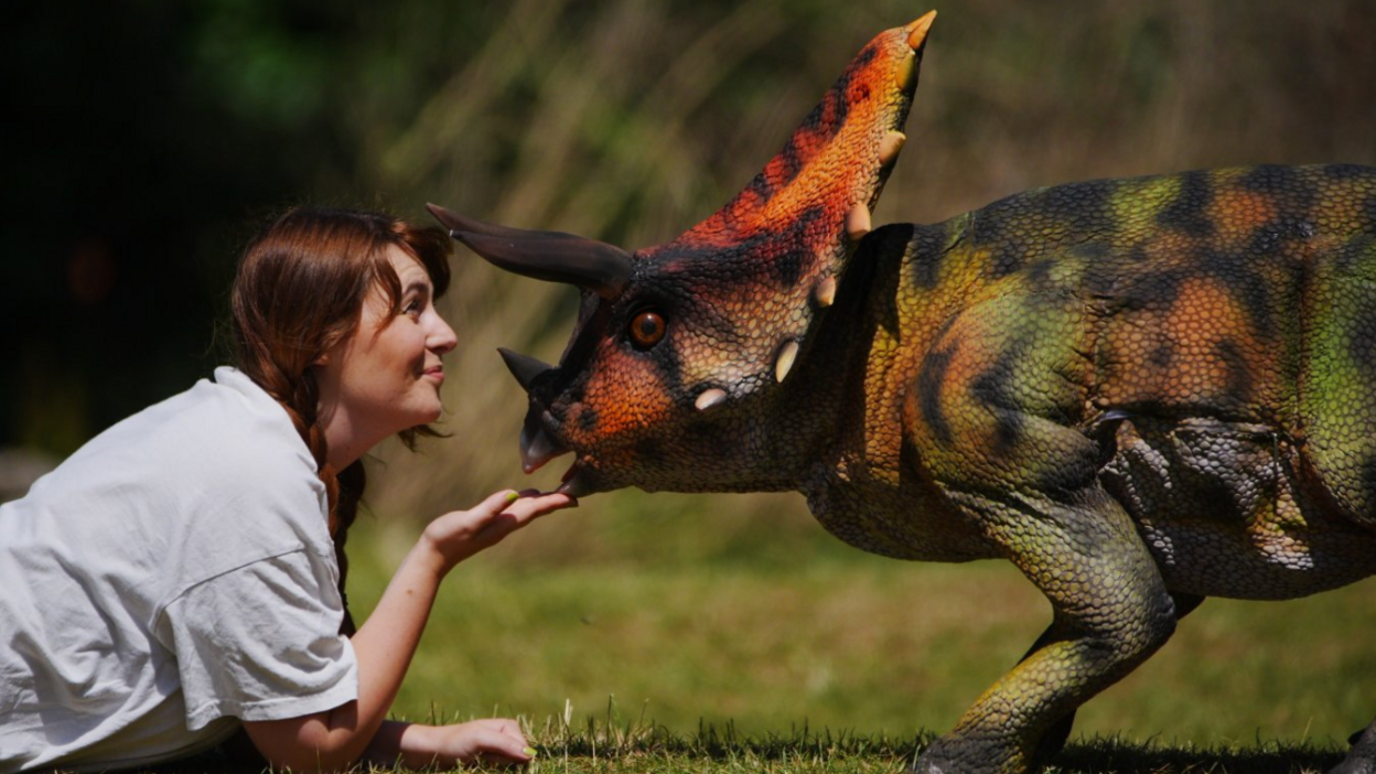 A woman with long auburn plaits is lying on the grass and looking at a small dinosaur animatronic which is shades of green and orange