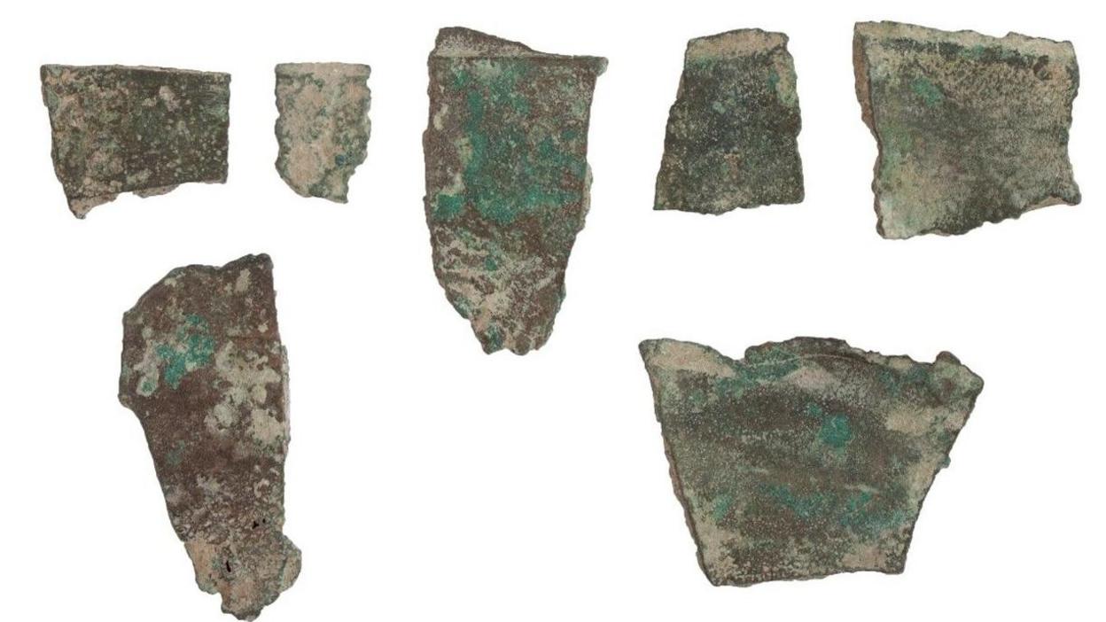 Pieces of jagged mottled green and brown metal are placed on a white background