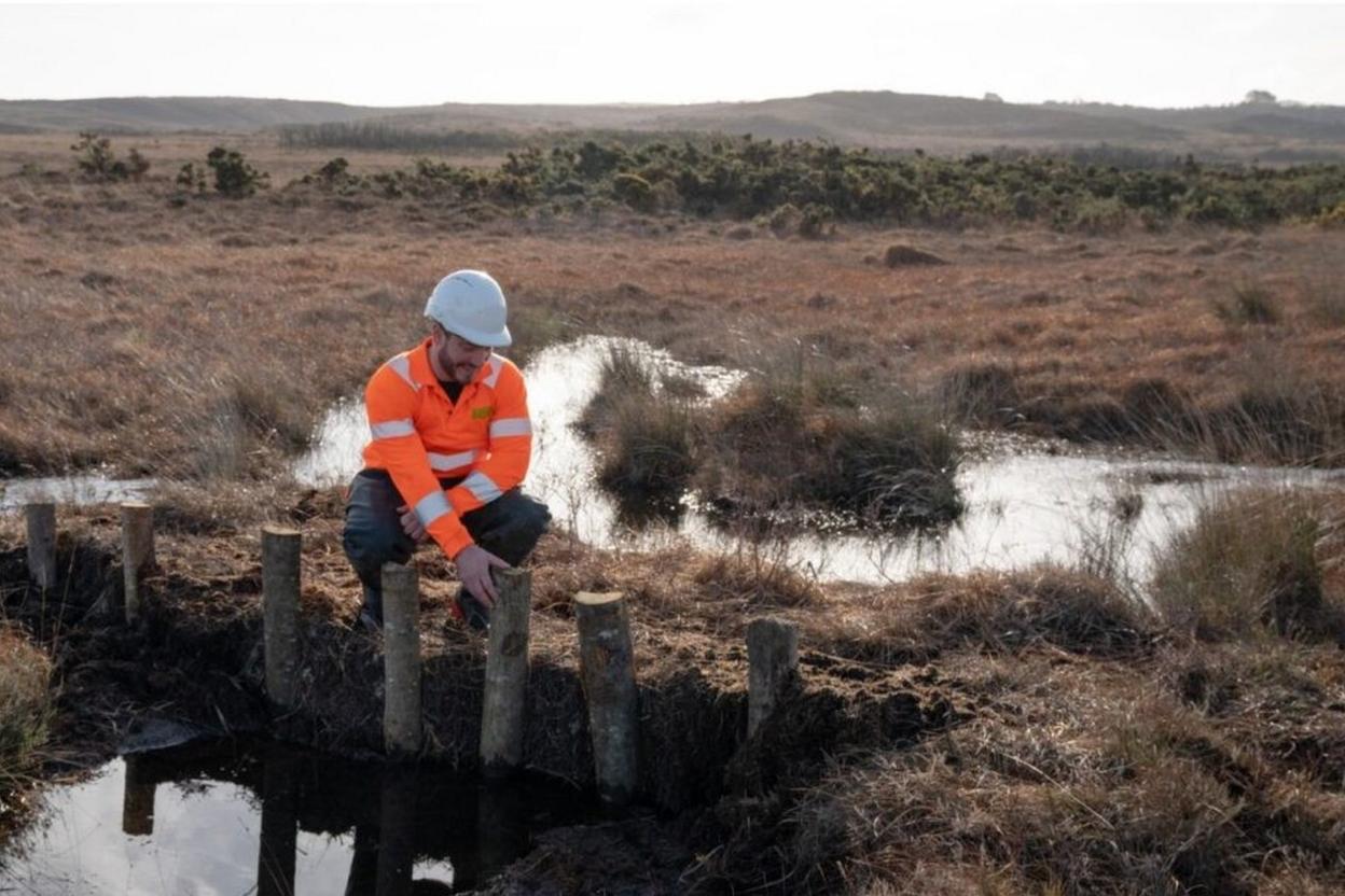 Man in orange hi-vis and white hard hat next to one of the leaky dams