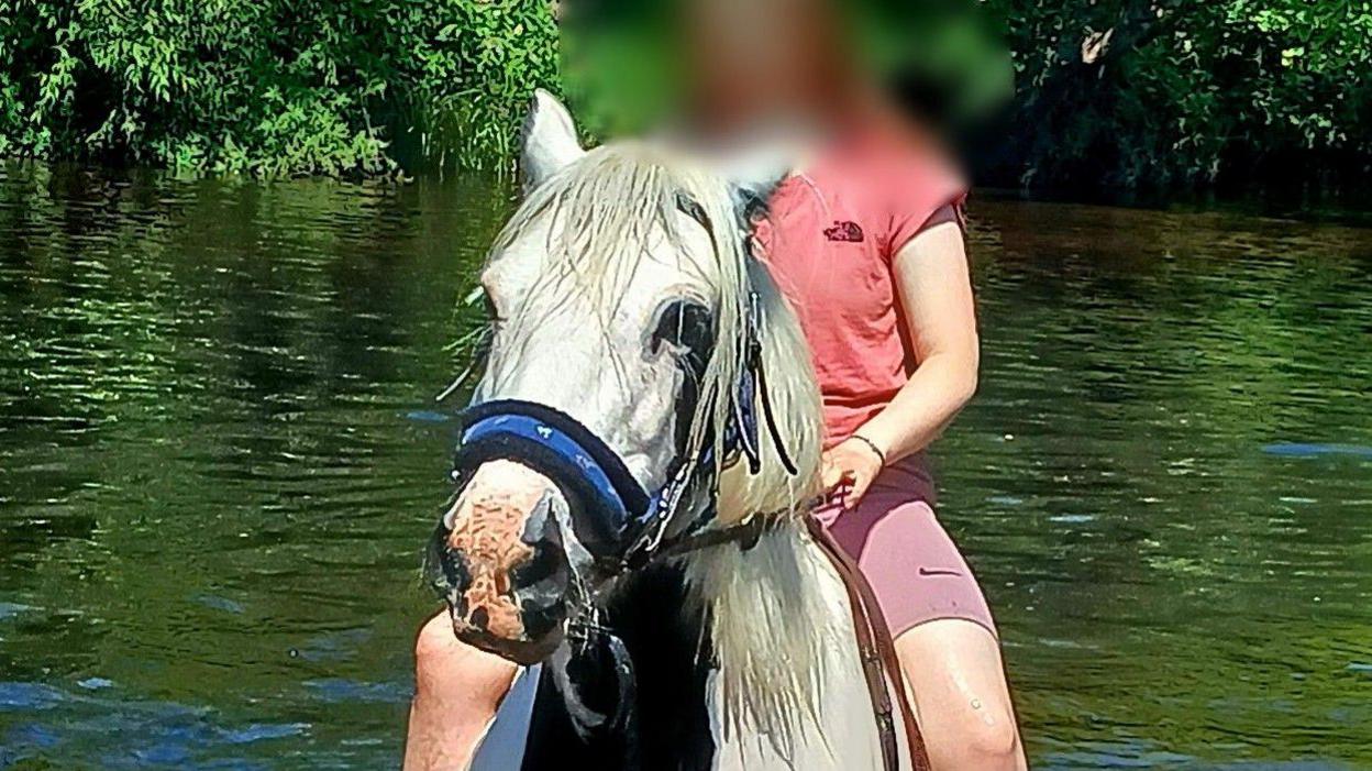 A girl wearing a red T-shirt and purple shorts riding a horse through a river.
