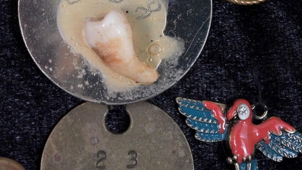 An image of Ms Widdison's tooth which is mounted on a material backing within a picture frame. There is a red pendant of a parrot to the right of the picture and a metal id tag beneath it as the picture contains things that mean something to her.