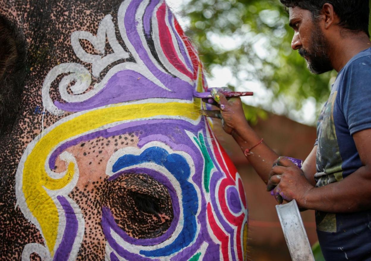 A mahout paints his elephant for the chariot festival