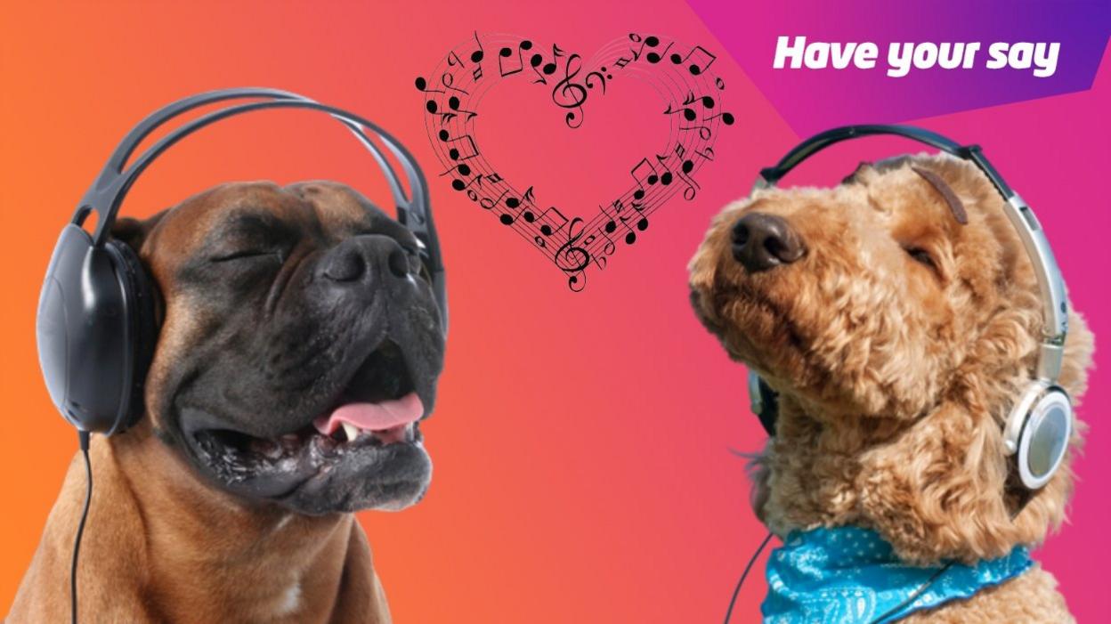 dogs listening to music