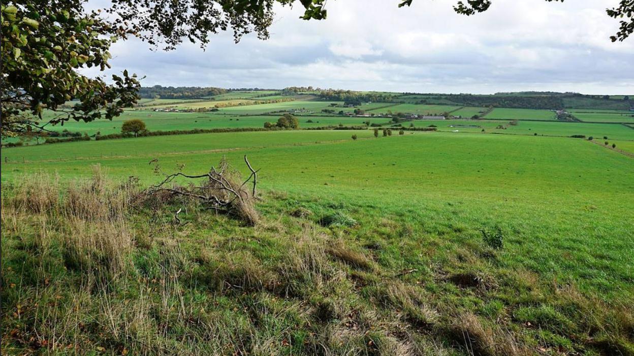 A view across Roundbarrow Farm showing flat green fields lined by distant hedges. 