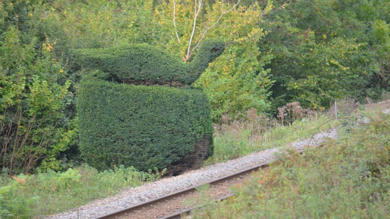 The historic topiary beside the railway line between Chilworth and Gomshall in Surrey, created in honour of a guard who died in 1892. The topiary is large and green. The picture was taken before the topiary was felled.