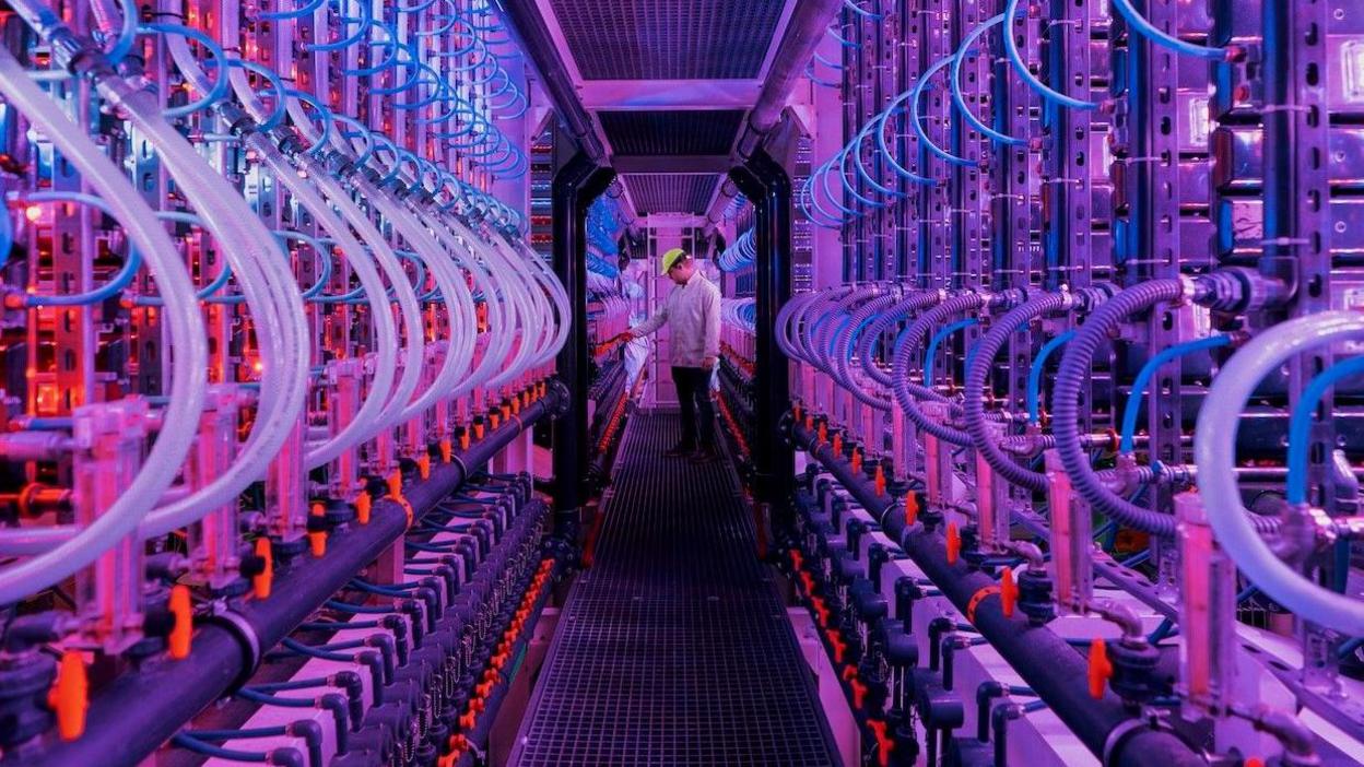 A walkway lined with bioreactors giving off pink and purple light. At one end a worker examines the equipment.