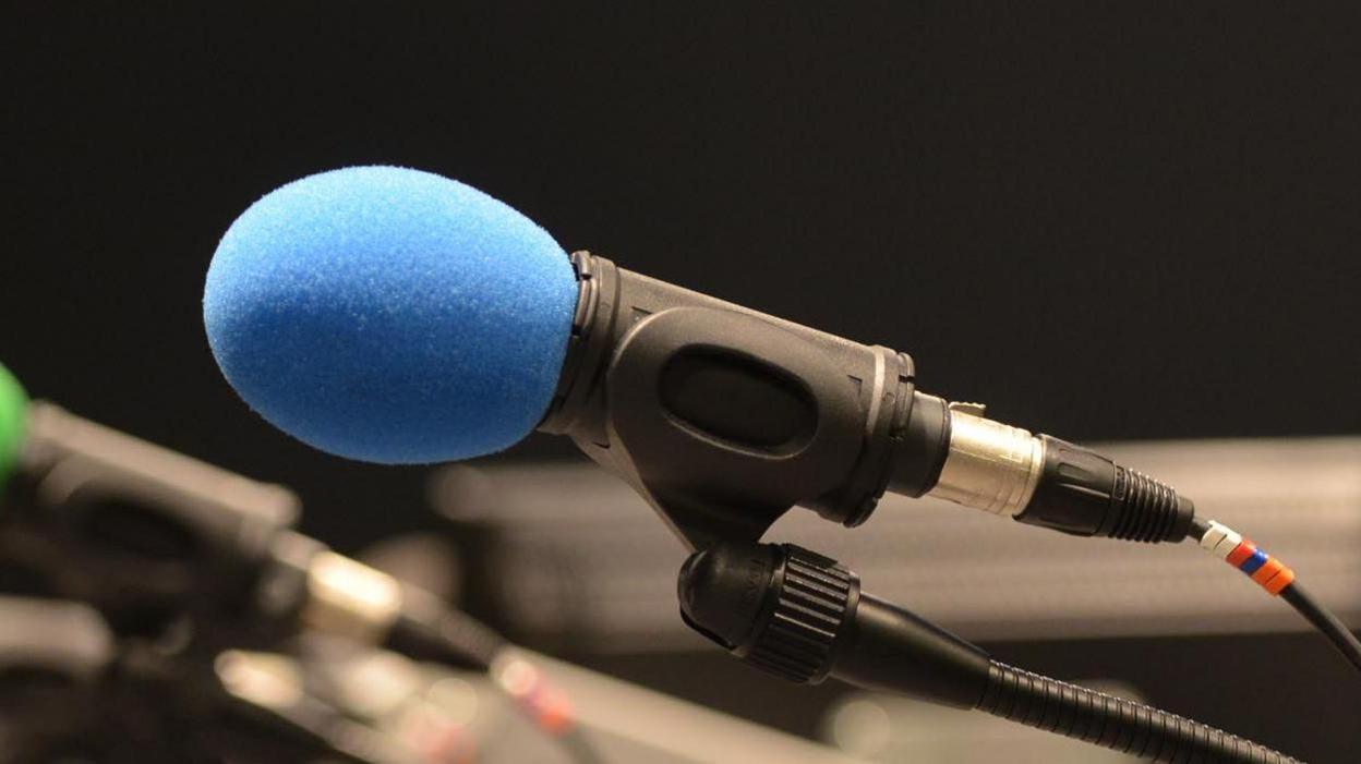 Generic image of a blue muff on a microphone satnd against a dark background.