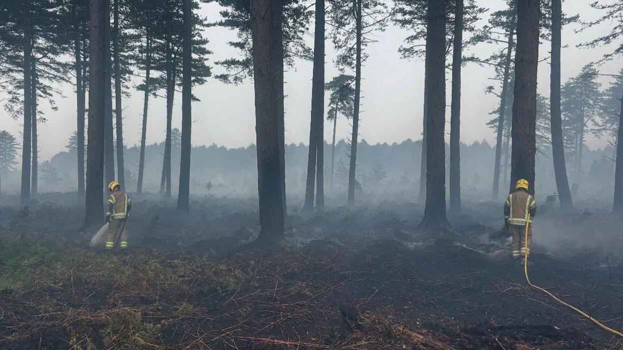 Two firefighters are walking through a section of burnt forest, their backs are to the camera. The firefighters wear a uniform featuring a beige coloured jacket and trousers with yellow reflective panelling around the arms, hips and ankles as well as a bright yellow hard helmet on their heads. They are both carrying hoses as they walk through blackened gorse on the floor, with smoke wafting up into the air. There are also a number of tall thin pine trees and more trees seen in the distance.
